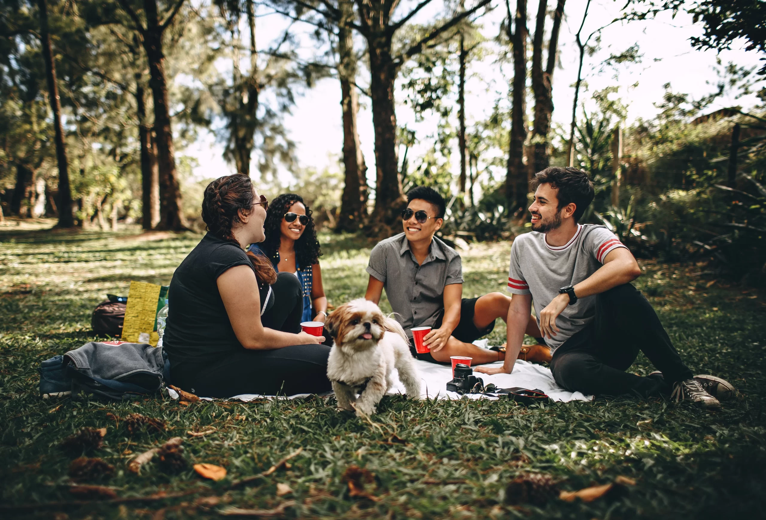 Friends at picnic - layover